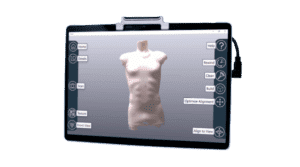 Image illustrative de l'article "Luma"