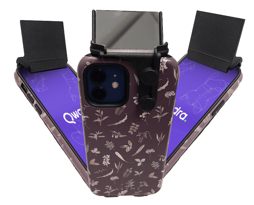 Image illustrative de l'article "Mirror"